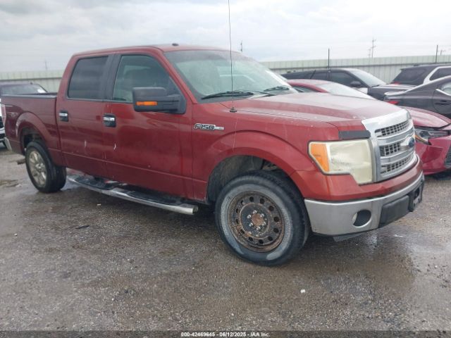 2014 FORD F-150 1FTFW1CF8EKE80010