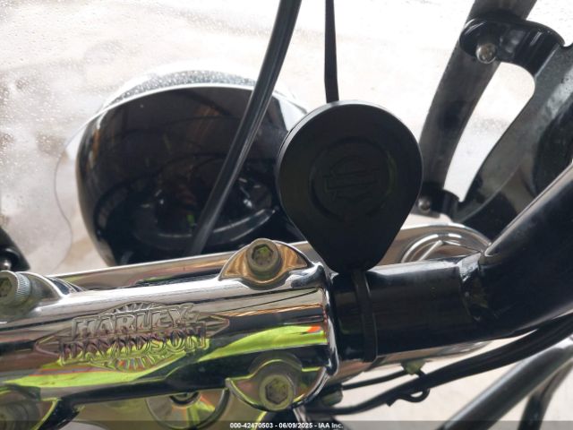 2018 HARLEY-DAVIDSON FLSL 1HD1YDJ1XJC065996 Photo 10