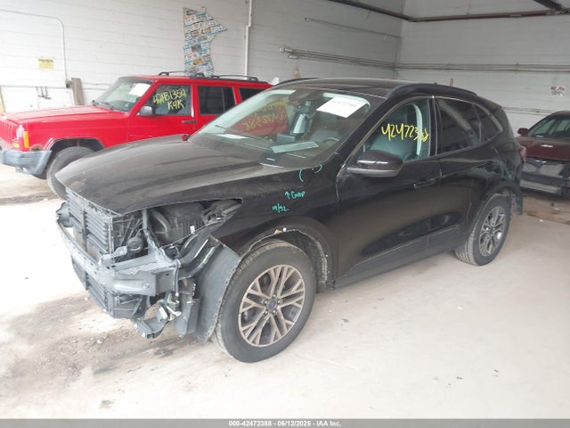 1FMCU9H60NUB94474 Ford dragon di tc