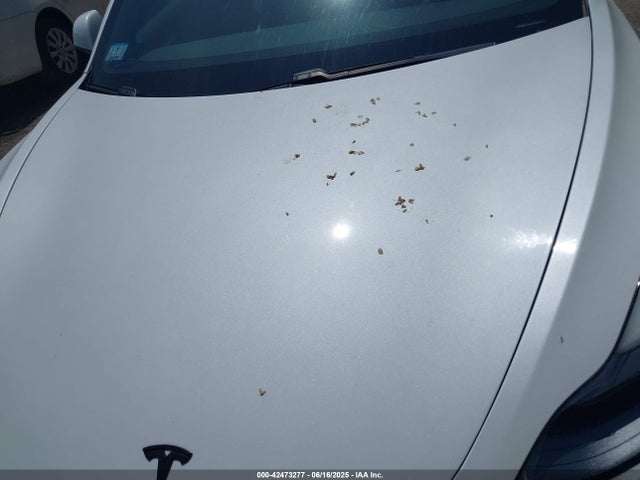 2021 TESLA MODEL 3 5YJ3E1EC4MF044601 Photo 9