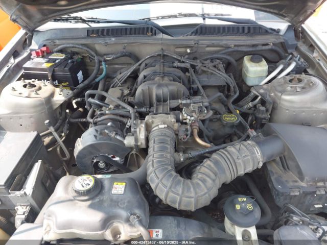 2005 FORD MUSTANG 1ZVFT84N955183489 Photo 9