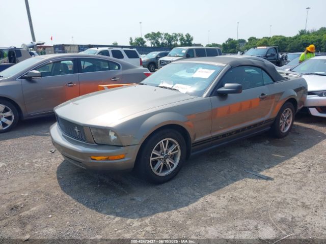 2005 FORD MUSTANG 1ZVFT84N955183489 Photo 1
