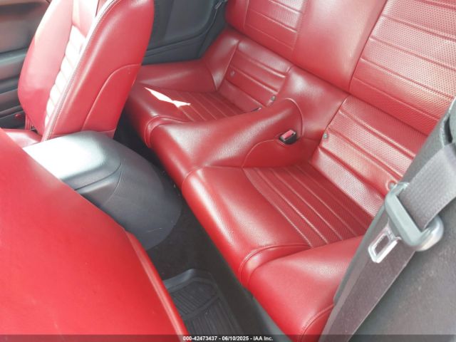 2005 FORD MUSTANG 1ZVFT84N955183489 Photo 7