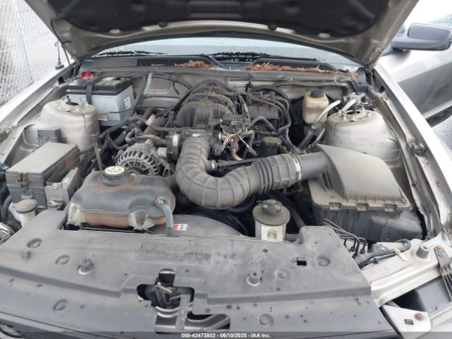 2008 FORD MUSTANG 1ZVHT80N585103088 Photo 9