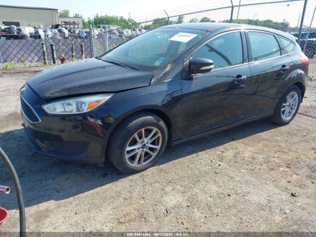 1FADP3K2XFL277491 Ford FOCUS SE