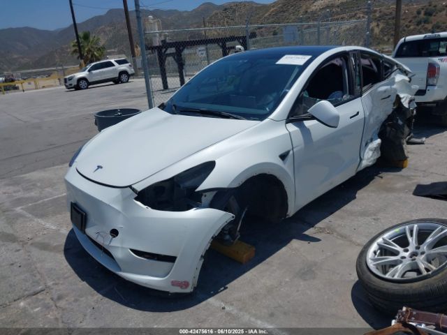 2023 TESLA MODEL Y 7SAYGDEE9PF598470 Photo 1