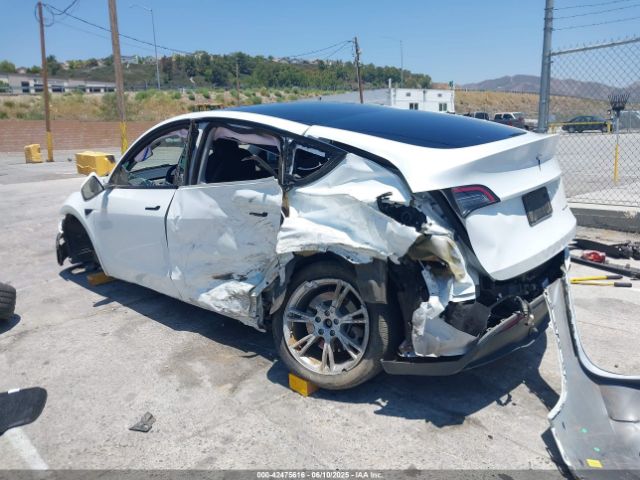 2023 TESLA MODEL Y 7SAYGDEE9PF598470 Photo 2