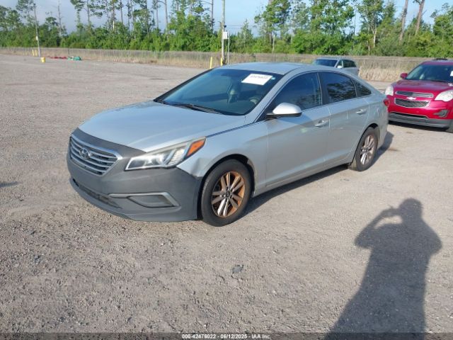 5NPE24AF8GH350287 Hyundai SONATA SE