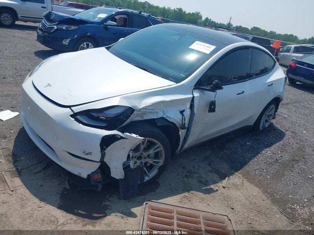 2023 TESLA MODEL Y 7SAYGDEE1PA192907 Photo 1