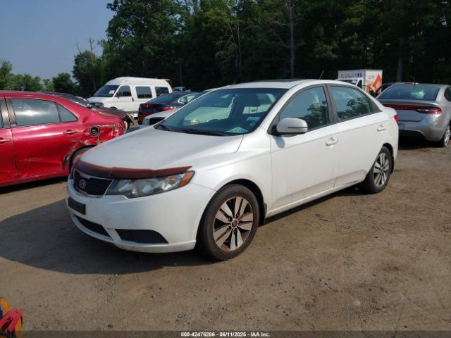 2013 KIA FORTE KNAFU4A22D5665767 Photo 1