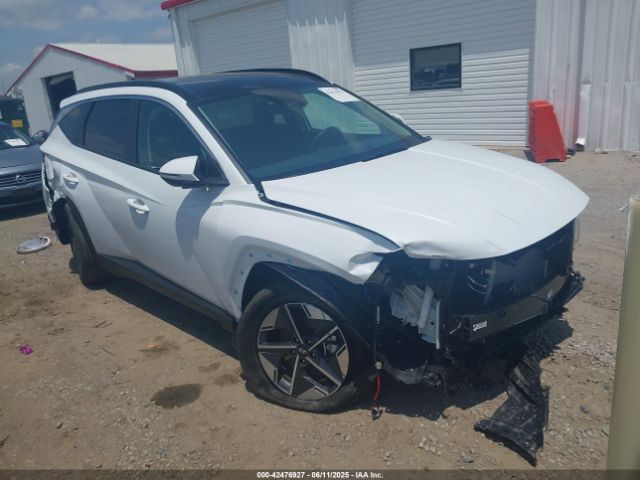 2025 HYUNDAI TUCSON HYBRID KM8JCDD17SU295157