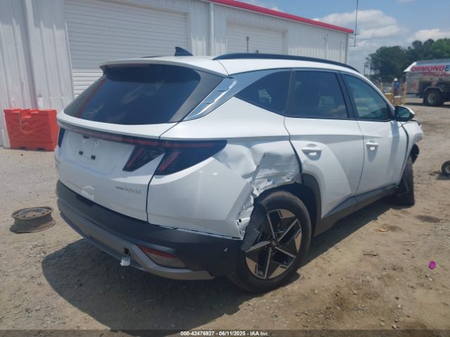 2025 HYUNDAI TUCSON HYBRID KM8JCDD17SU295157 Photo 3
