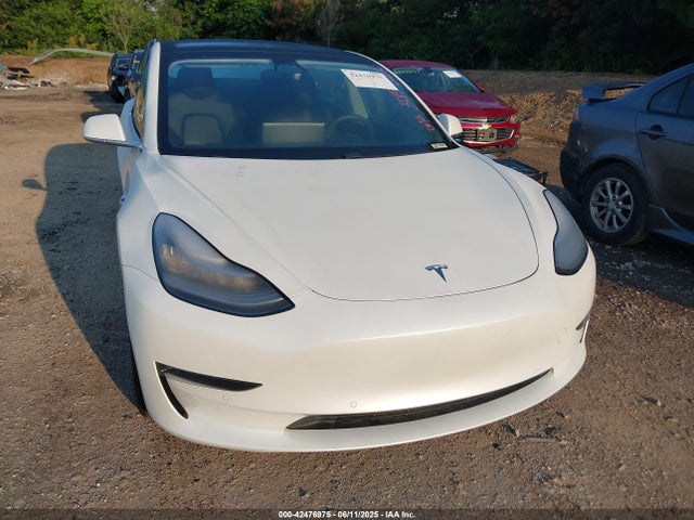 Tesla 2020 2020 5YJ3E1EB1LF665106 Image 12