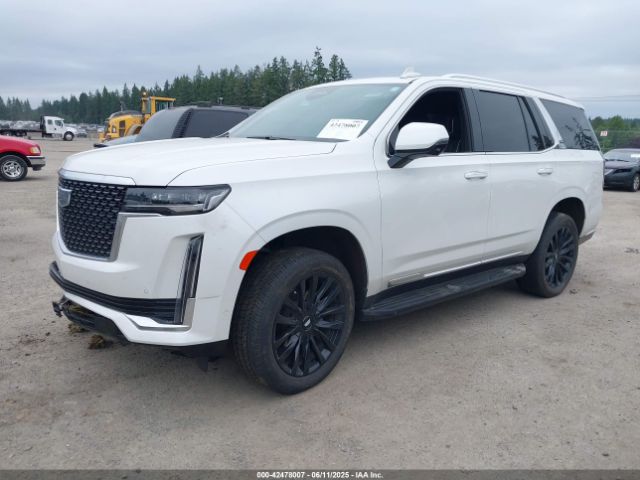1GYS4BKT3PR525151 Cadillac lm2