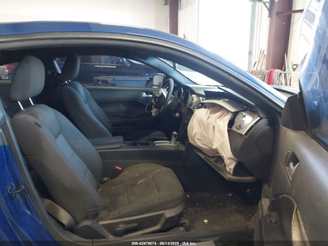 2009 FORD MUSTANG 1ZVHT80N595135556 Photo 4