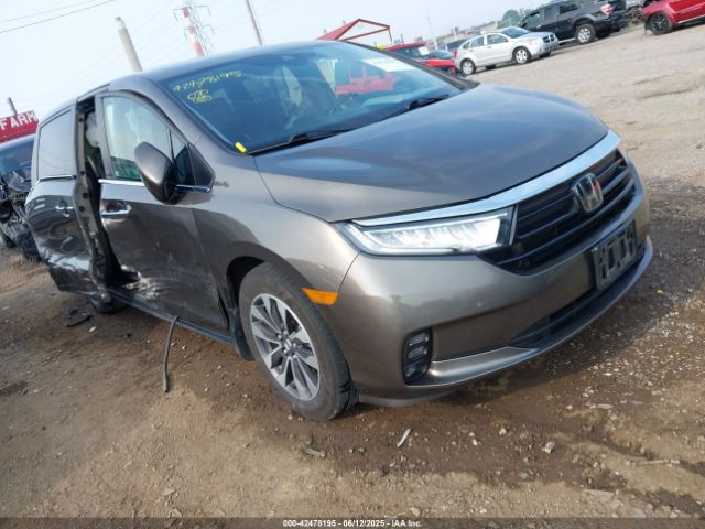 2022 HONDA ODYSSEY 5FNRL6H75NB034754