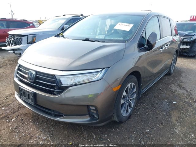 2022 HONDA ODYSSEY 5FNRL6H75NB034754 Photo 1