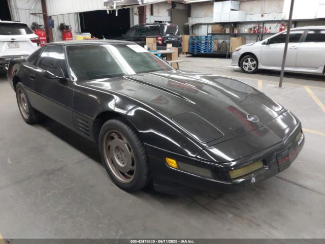 1991 CHEVROLET CORVETTE 1G1YY2386M5113204
