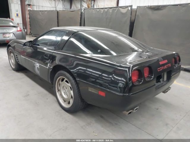 1991 CHEVROLET CORVETTE 1G1YY2386M5113204 Photo 2