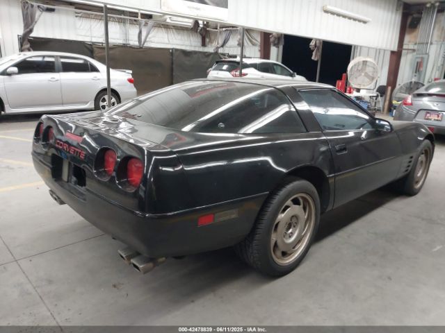 1991 CHEVROLET CORVETTE 1G1YY2386M5113204 Photo 3