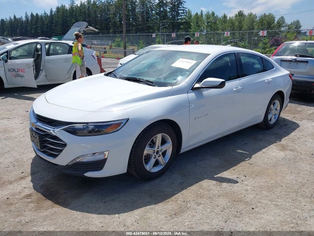 1G1ZD5ST9PF242978 Chevrolet Malibu Fwd 1lt
