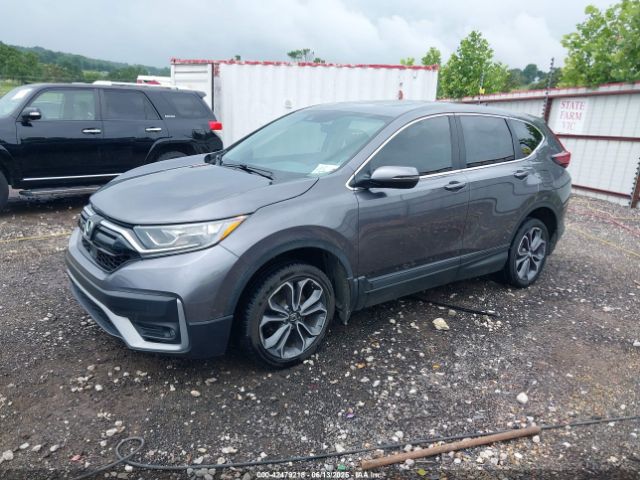2022 HONDA CR-V 5J6RW1H57NA010225 Photo 1
