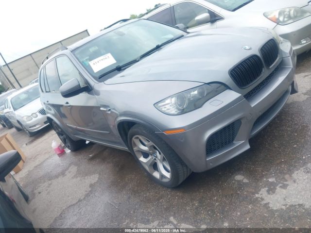 2009 BMW X5 5UXFE83579L308911