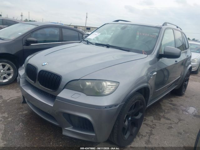 2009 BMW X5 5UXFE83579L308911 Photo 1