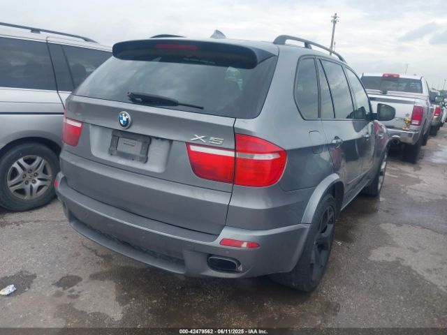 2009 BMW X5 5UXFE83579L308911 Photo 3