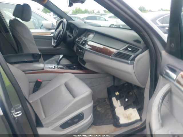 2009 BMW X5 5UXFE83579L308911 Photo 4