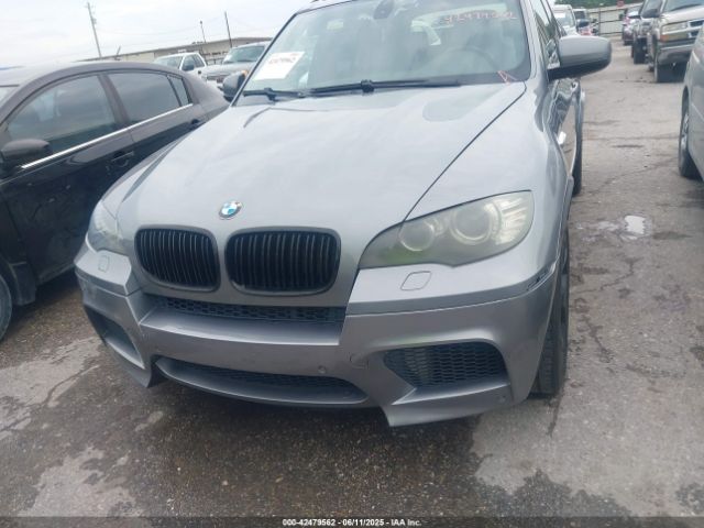 2009 BMW X5 5UXFE83579L308911 Photo 5