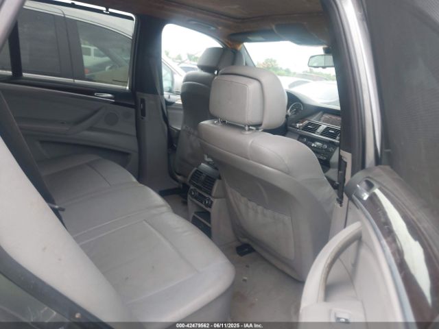 2009 BMW X5 5UXFE83579L308911 Photo 7