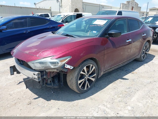 1N4AA6APXHC400339 Nissan Maxima