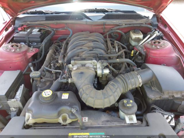 2006 FORD MUSTANG 1ZVHT82H265256192 Photo 9