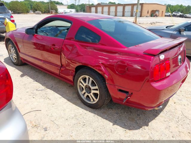 2006 FORD MUSTANG 1ZVHT82H265256192 Photo 2