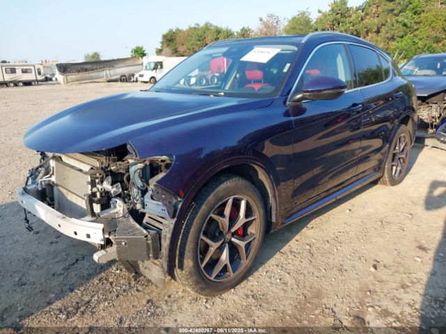2021 ALFA ROMEO STELVIO ZASPAKBN3M7D17372 Photo 1