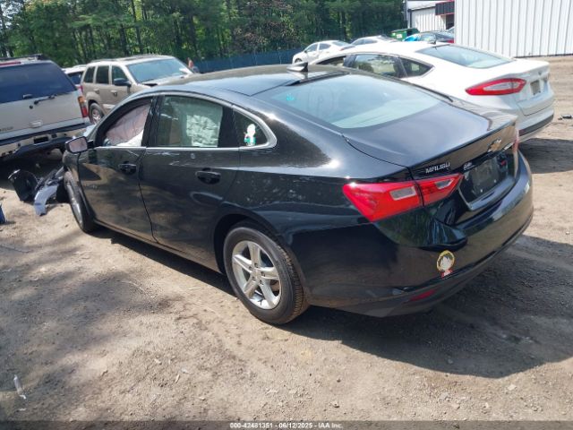 2021 CHEVROLET MALIBU 1G1ZB5ST3MF001595 Photo 2