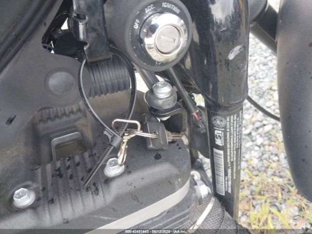 2021 HARLEY-DAVIDSON XL883 1HD4LE217MB413800 Photo 10