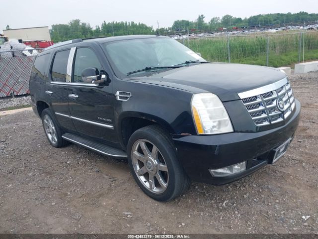 2010 CADILLAC ESCALADE 1GYUKBEF5AR104575 Photo 0
