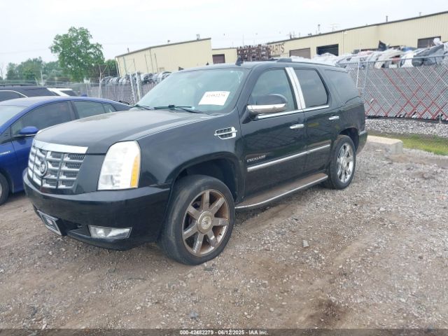 2010 CADILLAC ESCALADE 1GYUKBEF5AR104575 Photo 1