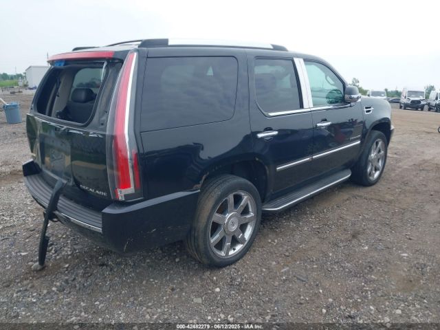 2010 CADILLAC ESCALADE 1GYUKBEF5AR104575 Photo 3