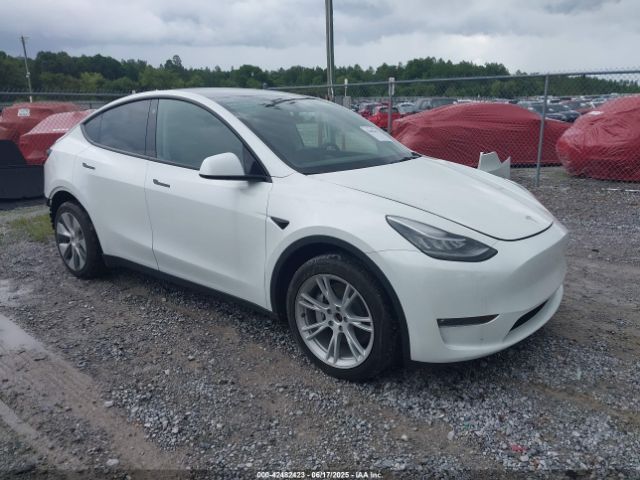 2023 TESLA MODEL Y 7SAYGDEE1PF610661 Photo 0
