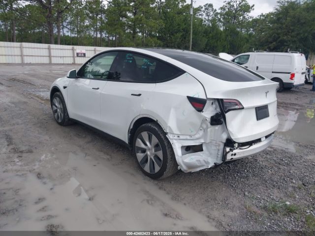 2023 TESLA MODEL Y 7SAYGDEE1PF610661 Photo 2
