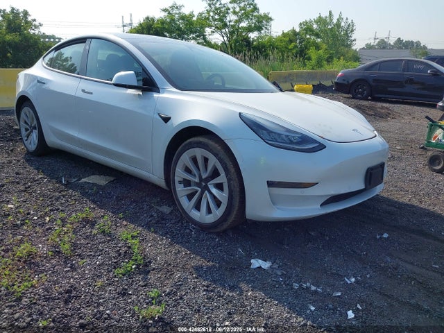 2020 TESLA MODEL 3 5YJ3E1EBXLF636848 Photo 0
