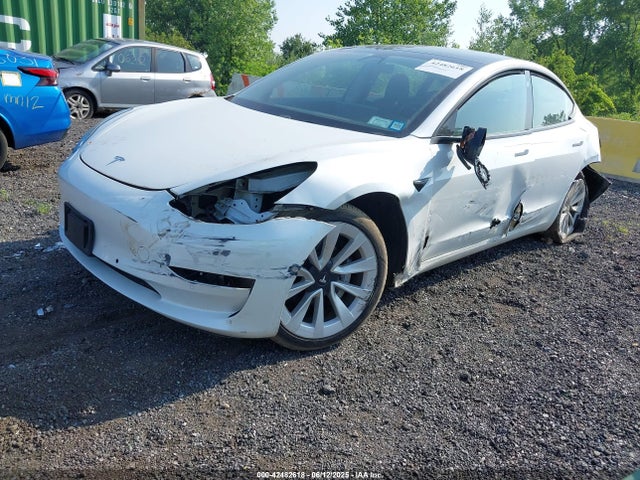 2020 TESLA MODEL 3 5YJ3E1EBXLF636848 Photo 1