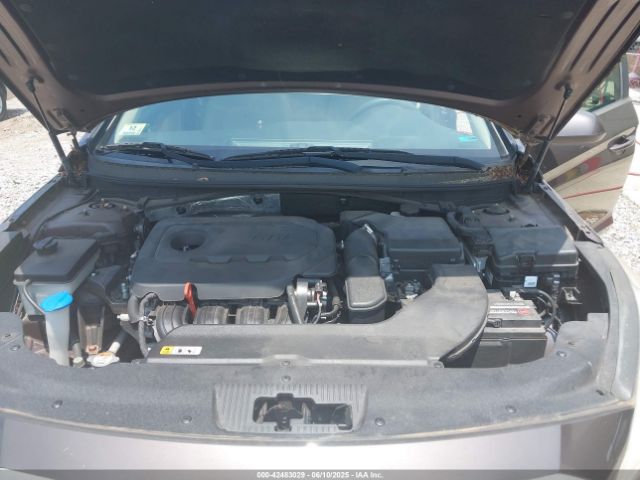 5NPE24AF6GH276416 Hyundai SONATA SE