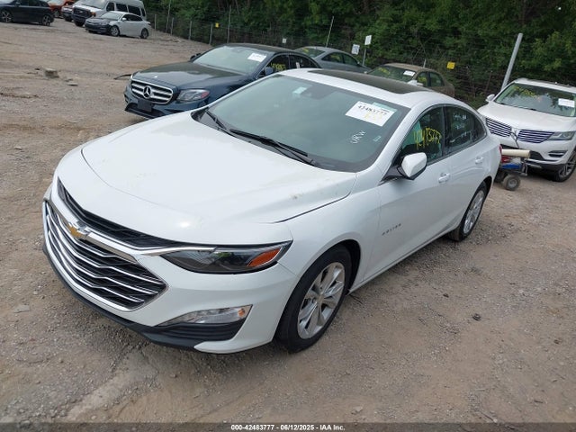 1G1ZD5ST5RF161124 Chevrolet Malibu Fwd 1lt
