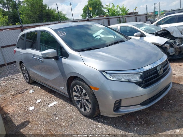 Honda Odyssey Ex-l 2024 5FNRL6H66RB044786 Image 13
