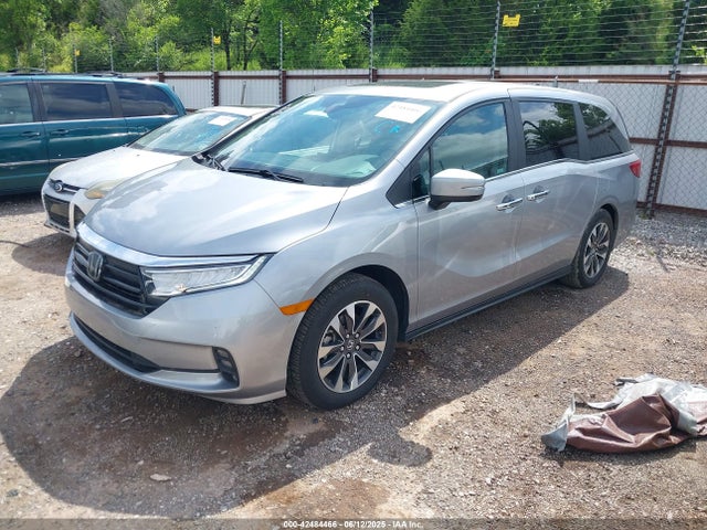 Honda Odyssey Ex-l 2024 5FNRL6H66RB044786 Image 2