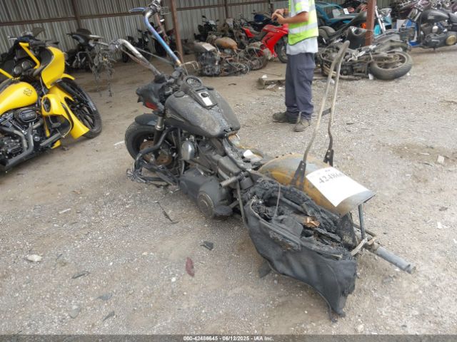 2009 HARLEY-DAVIDSON FXDF 1HD1GY4109K319125 Photo 2